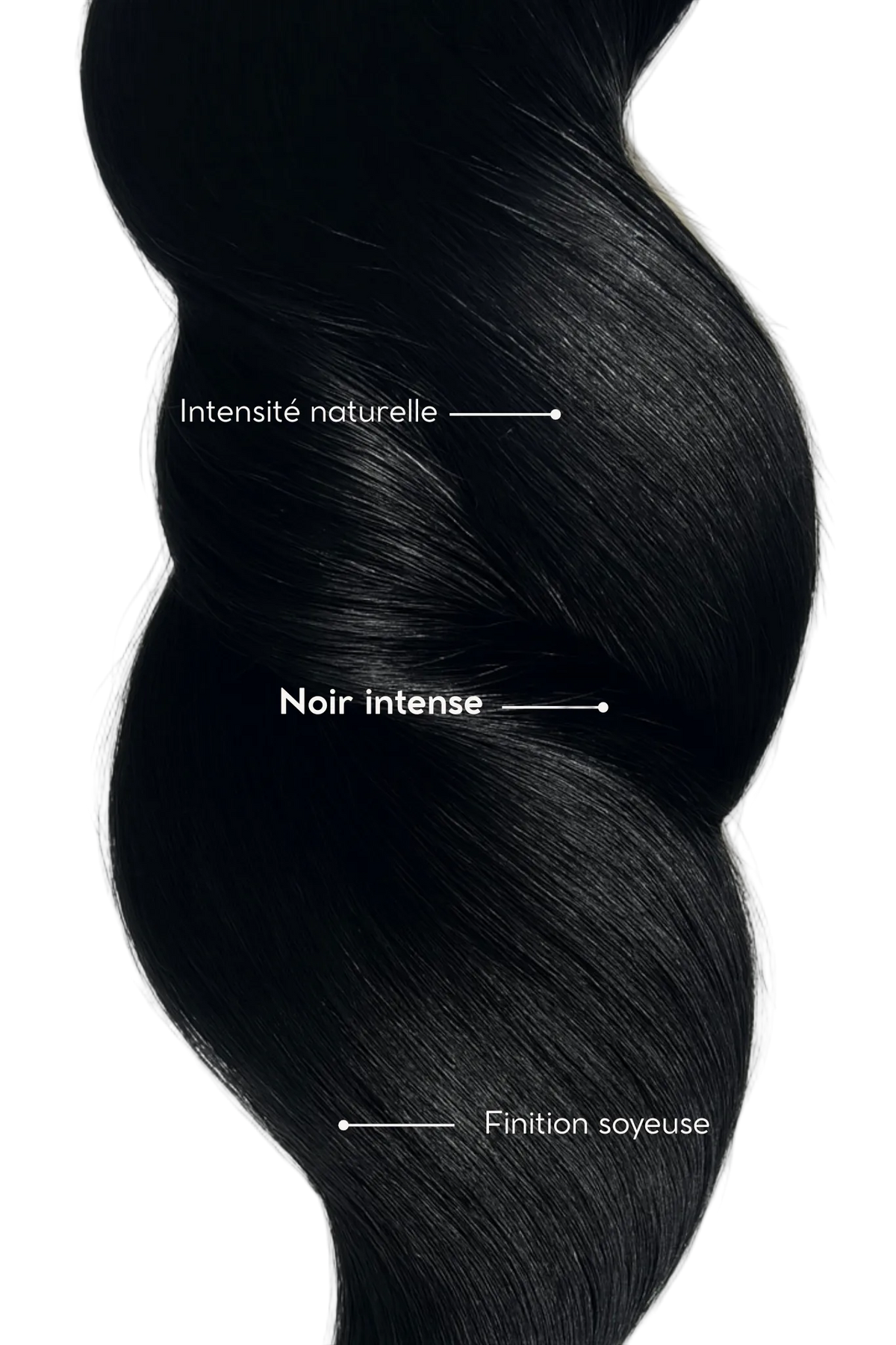 Extensions Velvet Noire