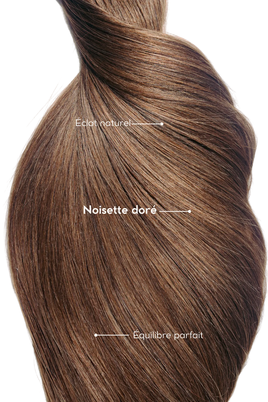 Golden Hazelnut