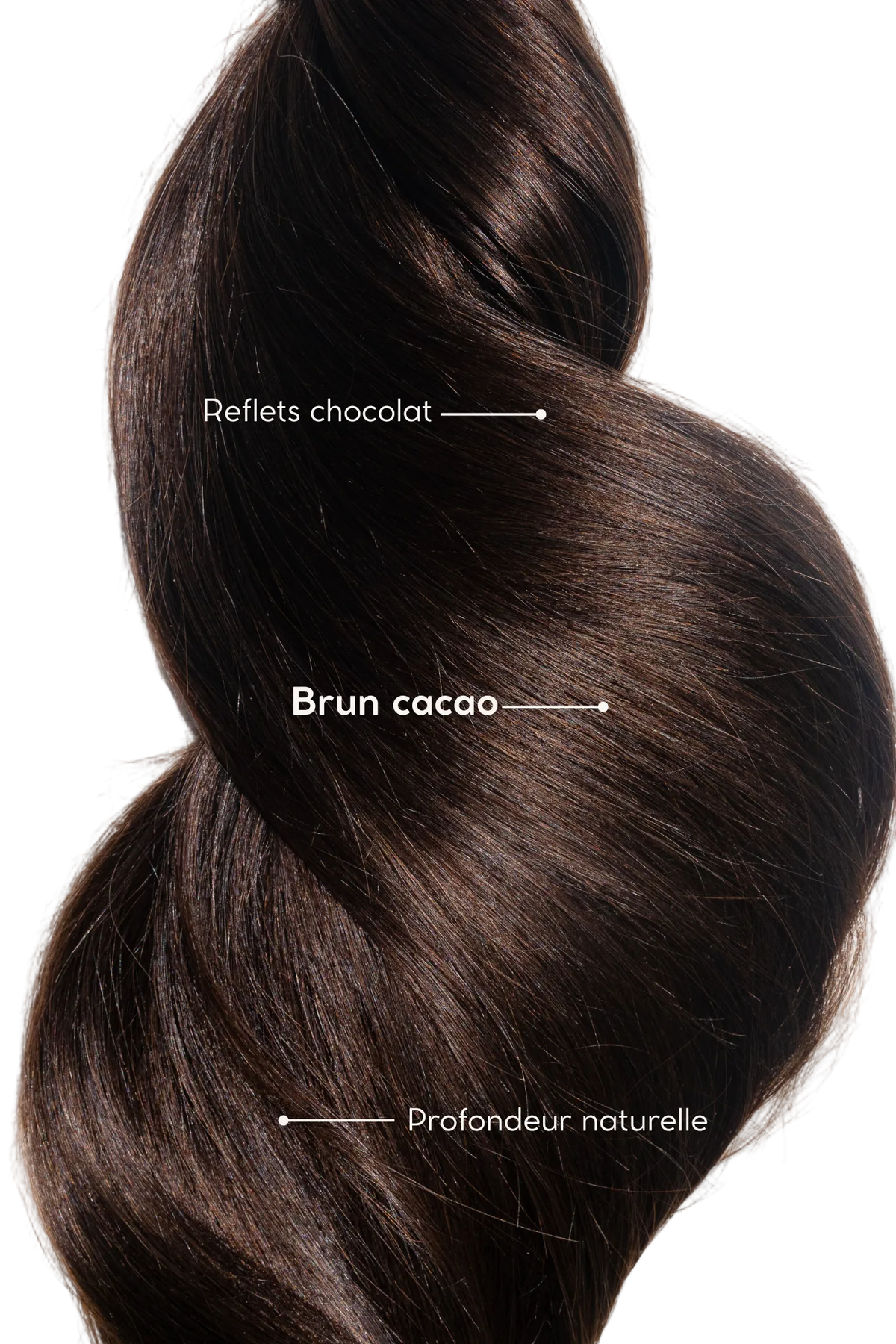 Cacao