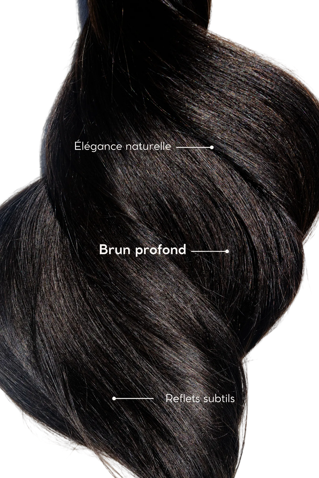 Truffle Brunette