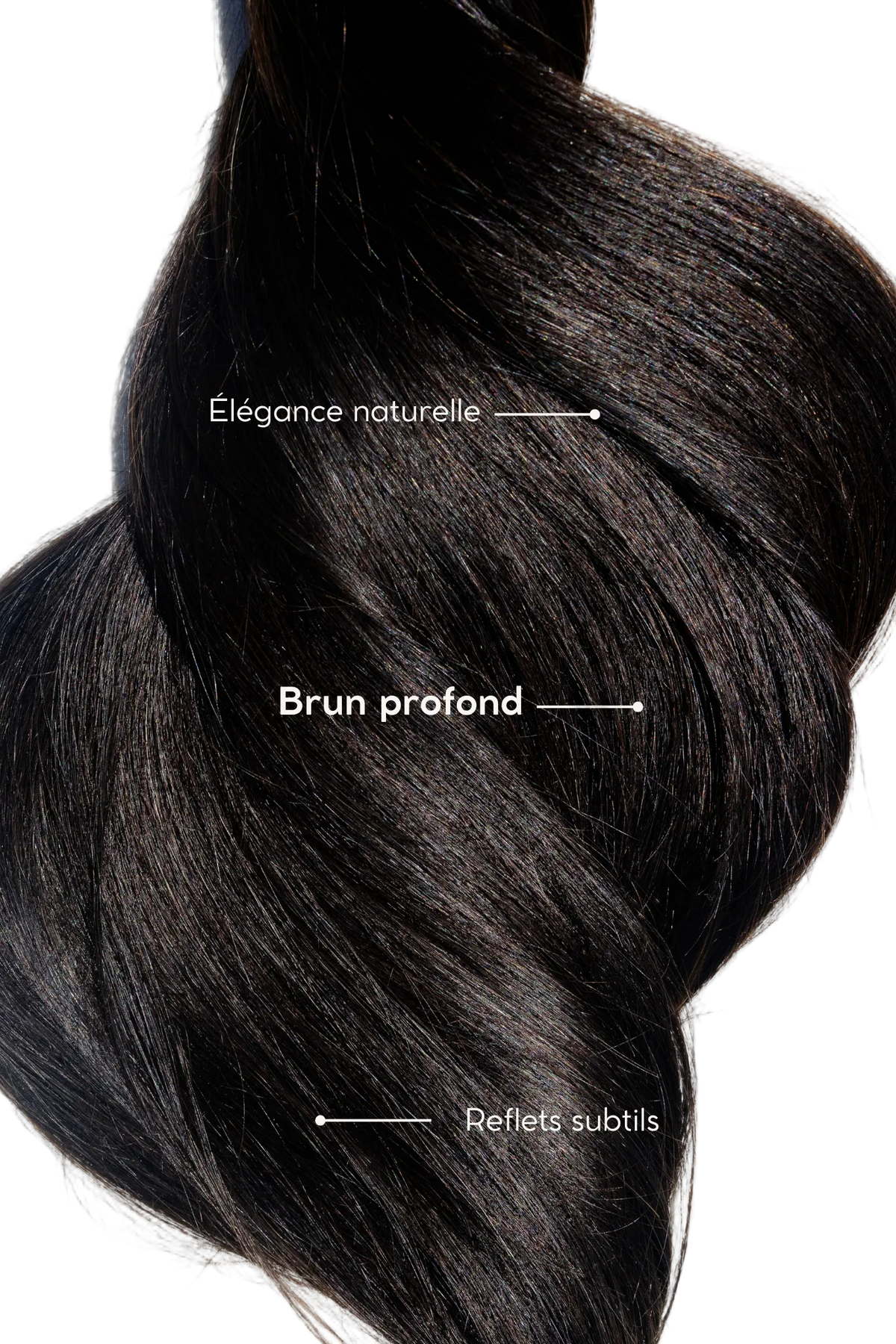 Truffle Brunette